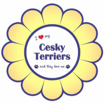 I Love My Cesky Terriers (Multiple Dogs) Photo Sculptures