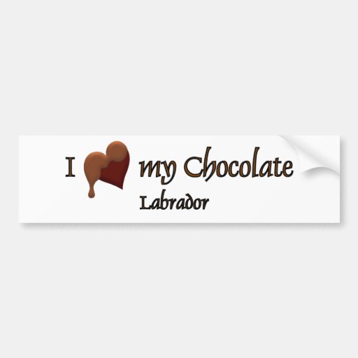 I Love my Chocolate Labrador Bumper Stickers