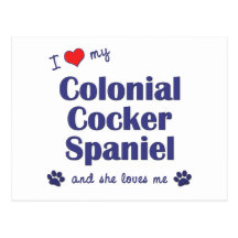 I Love My Colonial Cocker Spaniel (Female Dog) Postcards