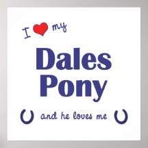 I Love My Dales Pony (Male Pony) Posters