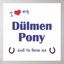 I Love My Dulmen Pony (Male Pony) Poster