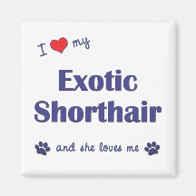I Love My Exotic Shorthair (Female Cat) Refrigerator Magnets