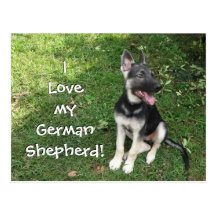 I love my German Shepherd Postcard!