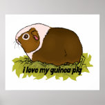 I Love My Guinea Pig Posters