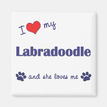 I Love My Labradoodle (Female Dog) Fridge Magnet