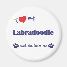 I Love My Labradoodle (Female Dog) Refrigerator Magnets