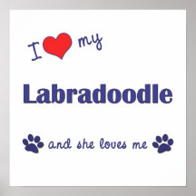 I Love My Labradoodle (Female Dog) Poster Print