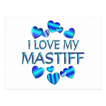 I Love My Mastiff Post Cards