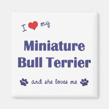 I Love My Miniature Bull Terrier (Female Dog) Fridge Magnet