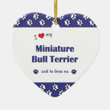 I Love My Miniature Bull Terrier (Male Dog) Ornament