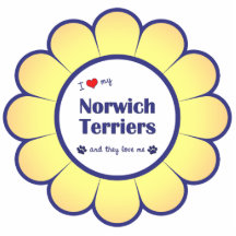I Love My Norwich Terriers (Multiple Dogs) Photo Sculptures