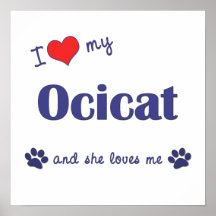 I Love My Ocicat (Female Cat) Print
