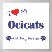 I Love My Ocicats (Multiple Cats) Print