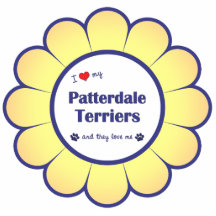 I Love My Patterdale Terriers (Multiple Dogs) Cut Outs
