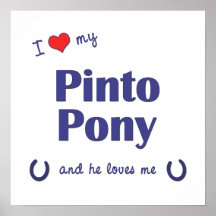 I Love My Pinto Pony (Male Pony) Print