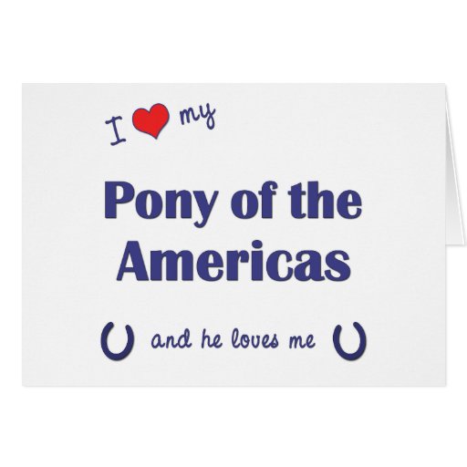 I Love My Pony of the Americas (Male Pony) Greeting Cards