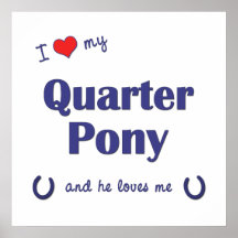 I Love My Quarter Pony (Male Pony) Poster