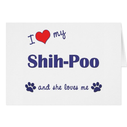 I Love My Shih-Poo (Female Dog) Greeting Card