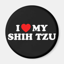I Love my Shih Tzu Magnet