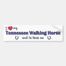 I Love My Tennessee Walking Horse (Male Horse) Bumper Stickers