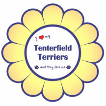 I Love My Tenterfield Terriers (Multiple Dogs) Photo Sculpture