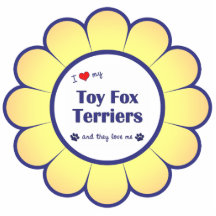 I Love My Toy Fox Terriers (Multiple Dogs) Acrylic Cut Outs
