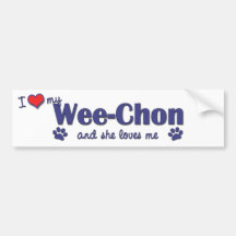 I Love My Wee-Chon (Female Dog) Bumper Sticker