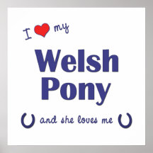 I Love My Welsh Pony (Female Pony) Posters