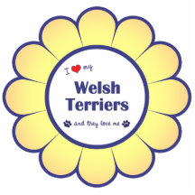 I Love My Welsh Terriers (Multiple Dogs) Acrylic Cut Out