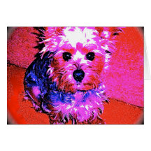I LOVE MY YORKIE! PINK & BLUE SERIES Card