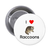 I love raccoons Button