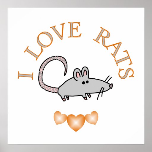 I Love Rats Poster