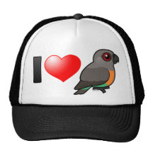 I Love Red-bellied Parrots Hat