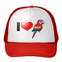 I Love Scarlet Macaws Hat