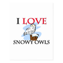 I Love Snowy Owls Post Cards