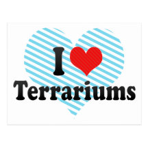 I Love Terrariums Postcard