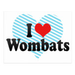 I Love Wombats Postcard