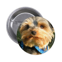 I Love Yorkies Button