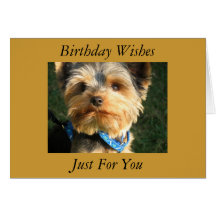 I Love Yorkies Greeting Cards