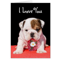 I Love You Bulldog greeting card
