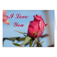 I Love You Pink Rose Card