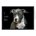 I Love You Pitbull puppy greeitng card