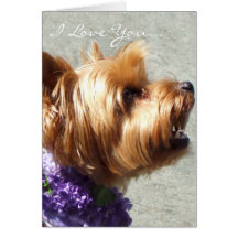 I Love You Yorkshire Terrier Greeting card