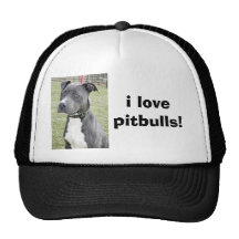 i lovepitbulls! hats