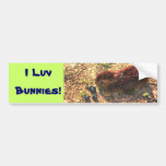I LUV BUNNIES! Cute Bumper Stickers