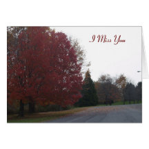 I Miss You Greeting Card