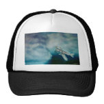 I reached up mesh hats