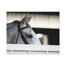 I See you Gallery Wrapped Canvas