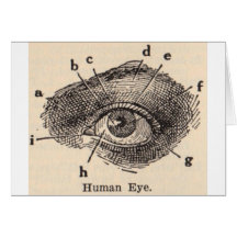 I See You Greeting Cards