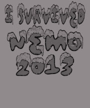 I Survived Nemo Blizzard of 2013 distressed Tshirt